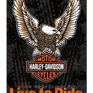 Bandiera decorativa Harley-Davidson® Live To Ride 14s4907fb