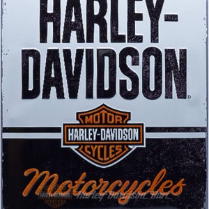 Milwaukee harley-davidson