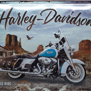 road_king harley-davidson