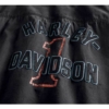 Harley-davidson nr 1 racing logo 96009-20vm_detail