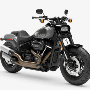 Fat Bob '24 Colore Billiard Gray