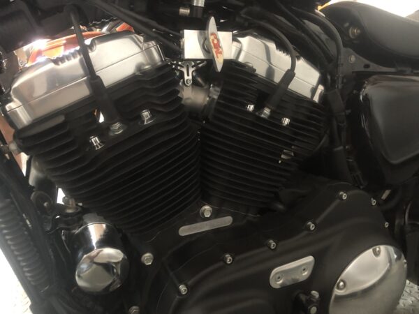 XL1200X (48) - immagine 4