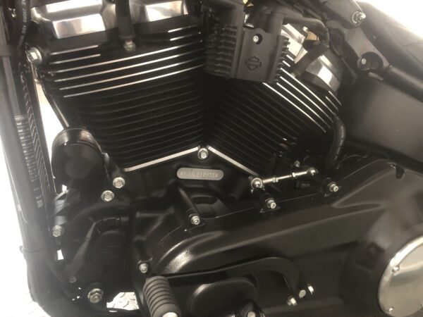 Street Bob 107 - immagine 6