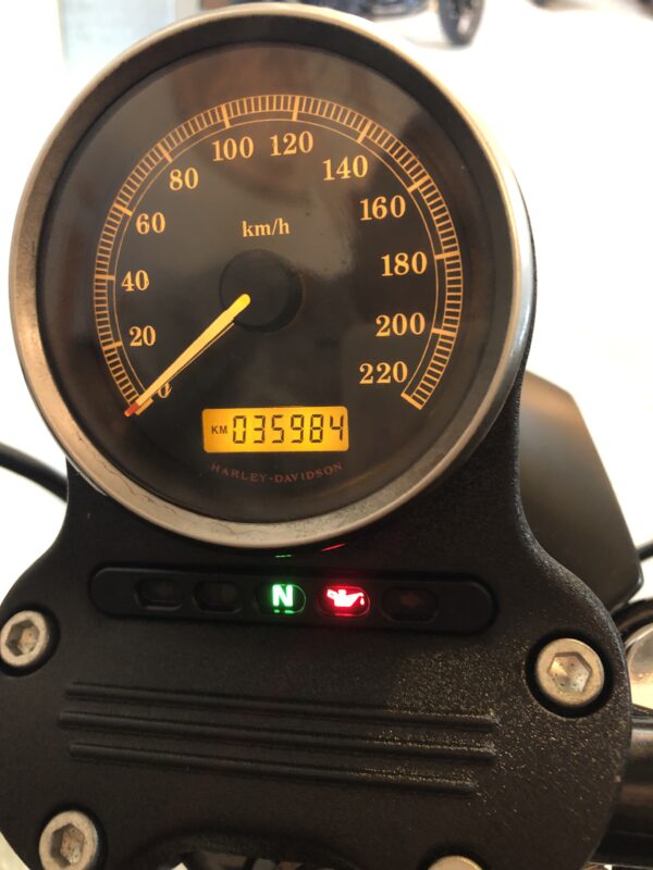 Harley-Davidson XL883N - immagine 6