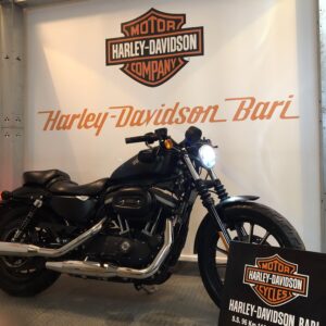 Harley-Davidson XL883N