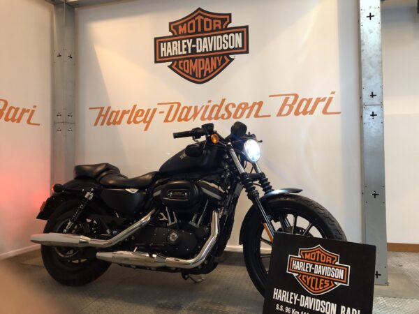 Harley-Davidson XL883N