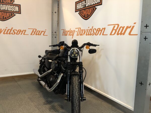 Harley-Davidson XL883N - immagine 2