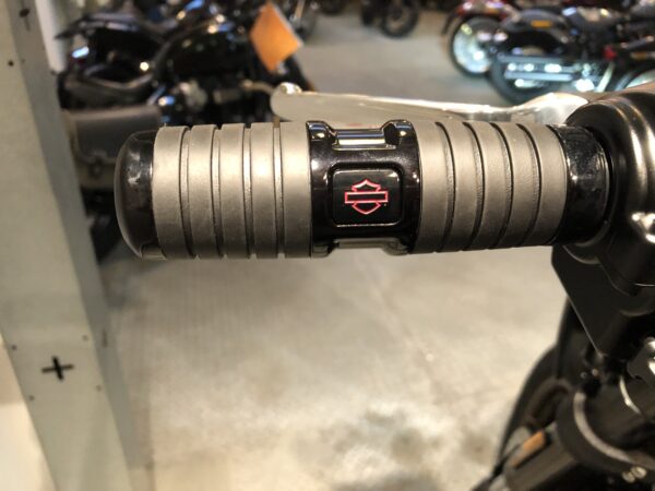 FXLRS Low Rider S 117 - immagine 4