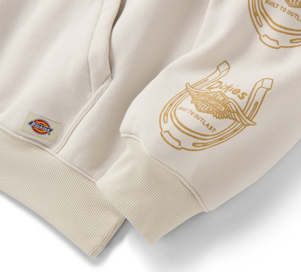 Felpa con cappuccio unisex Winged Horseshoe Dickies x H-D - art. 96091-26vx - immagine 3